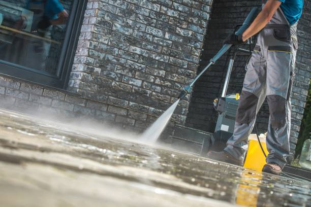 Best Roof Washing  in Belcourt, ND