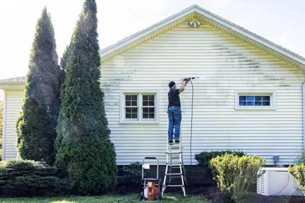 Best Driveway Pressure Washing  in Belcourt, ND